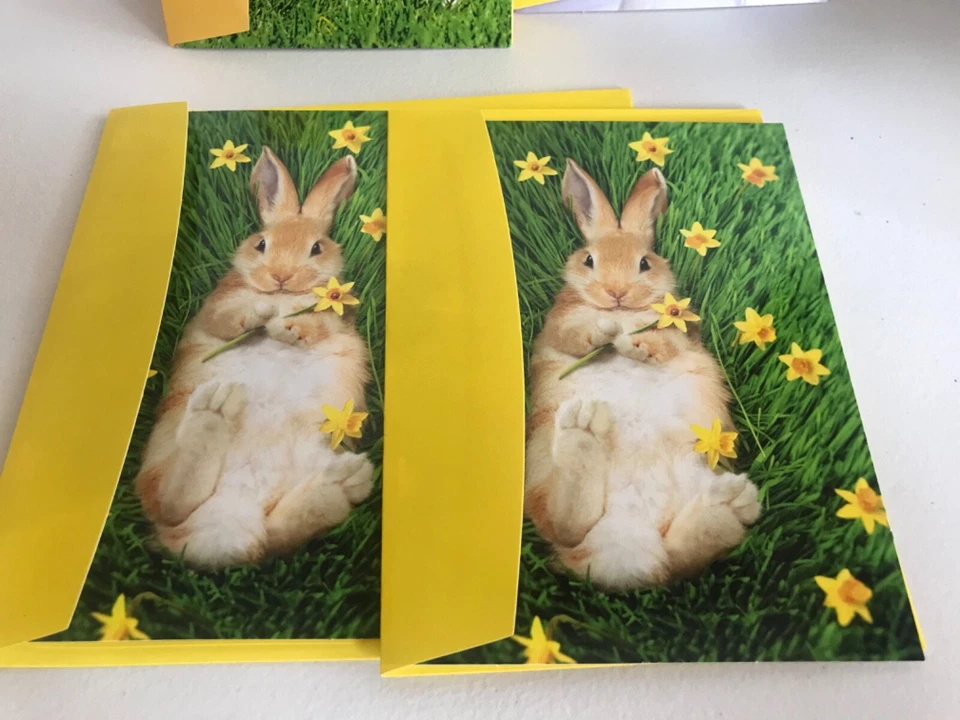 Lote de 8 Tarjetas Avanti Cumpleaños Pascua Día de la Madre Tarjetas Día del Padre Foto 4 de 4