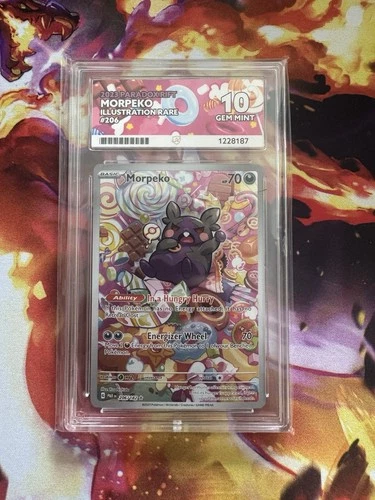 Pokémon TCG Morpeko Illustration Rare Card #206/182 Ace 10 Gem Mint