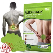 FlexiBack 12pk Herbal Back Pain Relief Patches 12-Hour Extra Strength