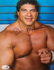 Don Muraco Signed 8 x 10 Color Photo Wrestling JSA Auto COA — photo 1