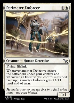 Perimeter Enforcer (31)