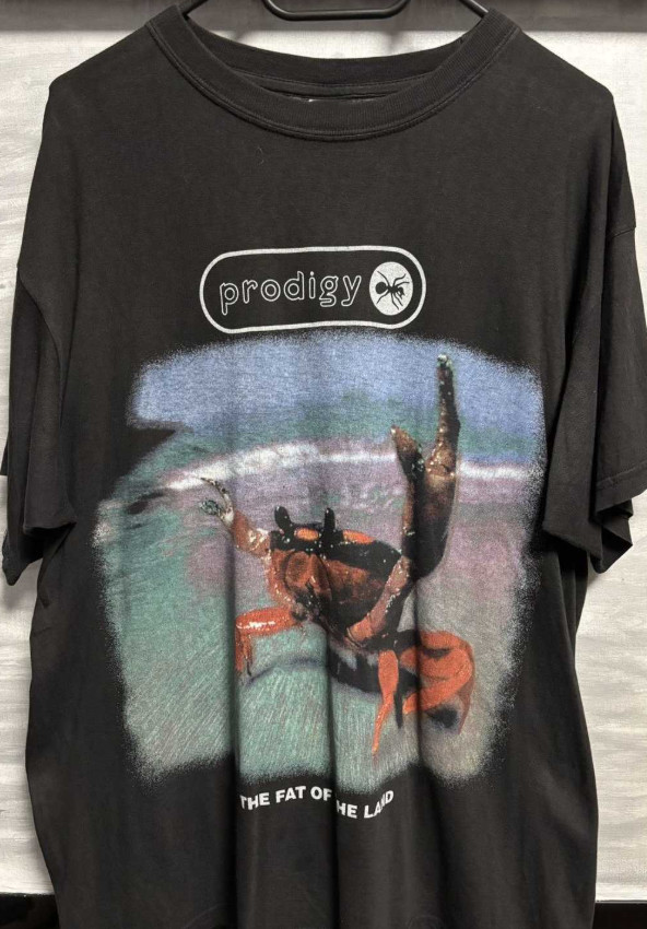 Camiseta corta Band Prodigy The Fat Of The Land unisex adulto ZA112