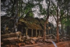 Photo Eric Wessman Ta Prohm Angkor Wat Cambodia signed 24
