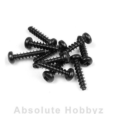 Xray Screw Phillips 3.0X14  (10)  - XRA905314
