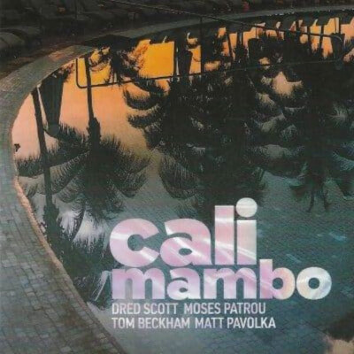 Dred Scott Trio Feat. Matt Pavolka   'Cali Mambo' (2024, CD)