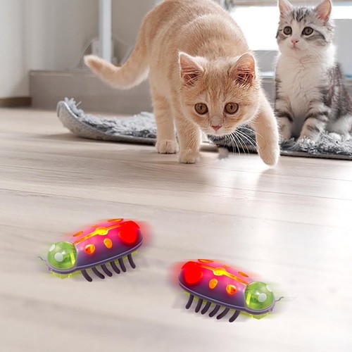 Juguetes interactivos para gatos - Mini lindo Ladybug, móvil, juguete electrónico para gatos de interior - Imagen 11 de 27