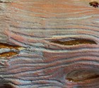 Bild 2 von 11