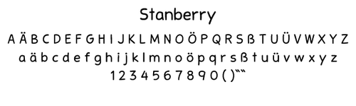 Namensschild, Ansteckschild,Anstecker mit Nadel & Gravur 70 x 20 mm, Silber matt - Bild 7 von 9