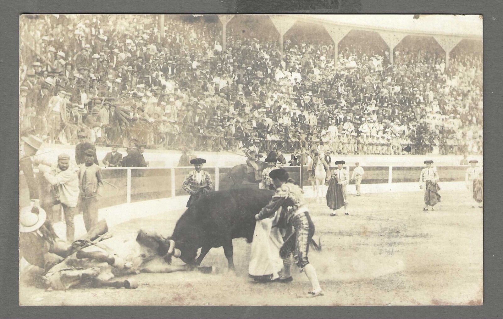 Postal vintage RP taurina, Madrid? España. Toro, Matador. ¿Principios de 1900?