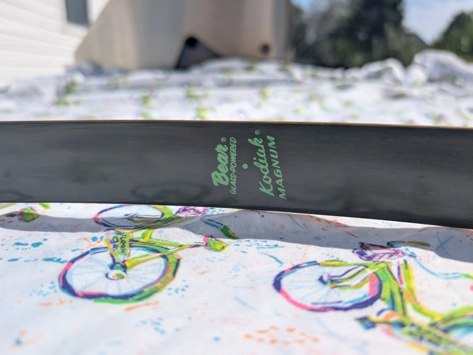 复古 FRED BEAR 1969 KODIAK MAGNUM 恢复弓,状况完好。 — 第 4/4 张图片