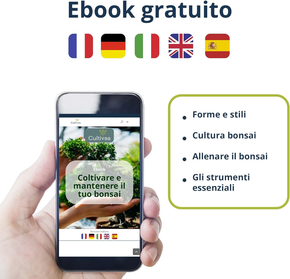 Mini Bonsai ReadyToGrow Kit Semi Francesi 100 Ecologici