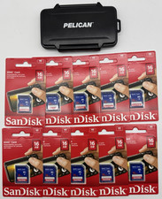 Pelican Memory Card Case And Lot Of 10 - SanDisk 16GB SDHC 16G Class 4 Mem Cards