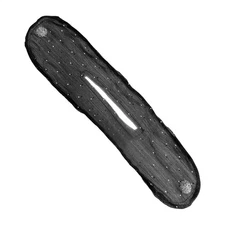 Hair Bun Maker French Twist Hair Bun Maker Elastic Hairstyling Big Sale