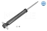 StossdÄMpfer FÜRd T. Mondeo V (09/12-) Le/Pr