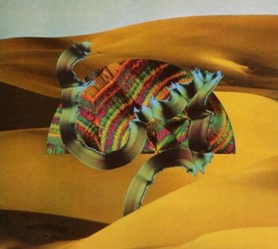 Django Django - Django Django