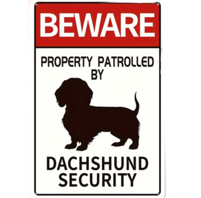 Dekoratives Blechschild Dackel 30x20 24cm, Hunde, Rauhaardackel, Teckel