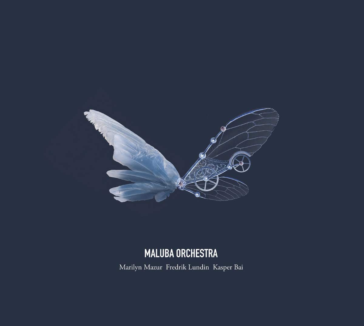 Maluba Orchestra Maluba Orchestra (CD) Album