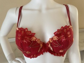 Lise Charmel Fleurs de Cerisier Cherry Embroidered Bra & Brief Set - Designer