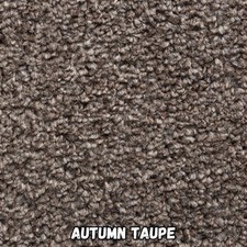 Cavello 8mm Pile Budget Carpet with Felt Backing 11mm Total Height 4M + 5M Wide