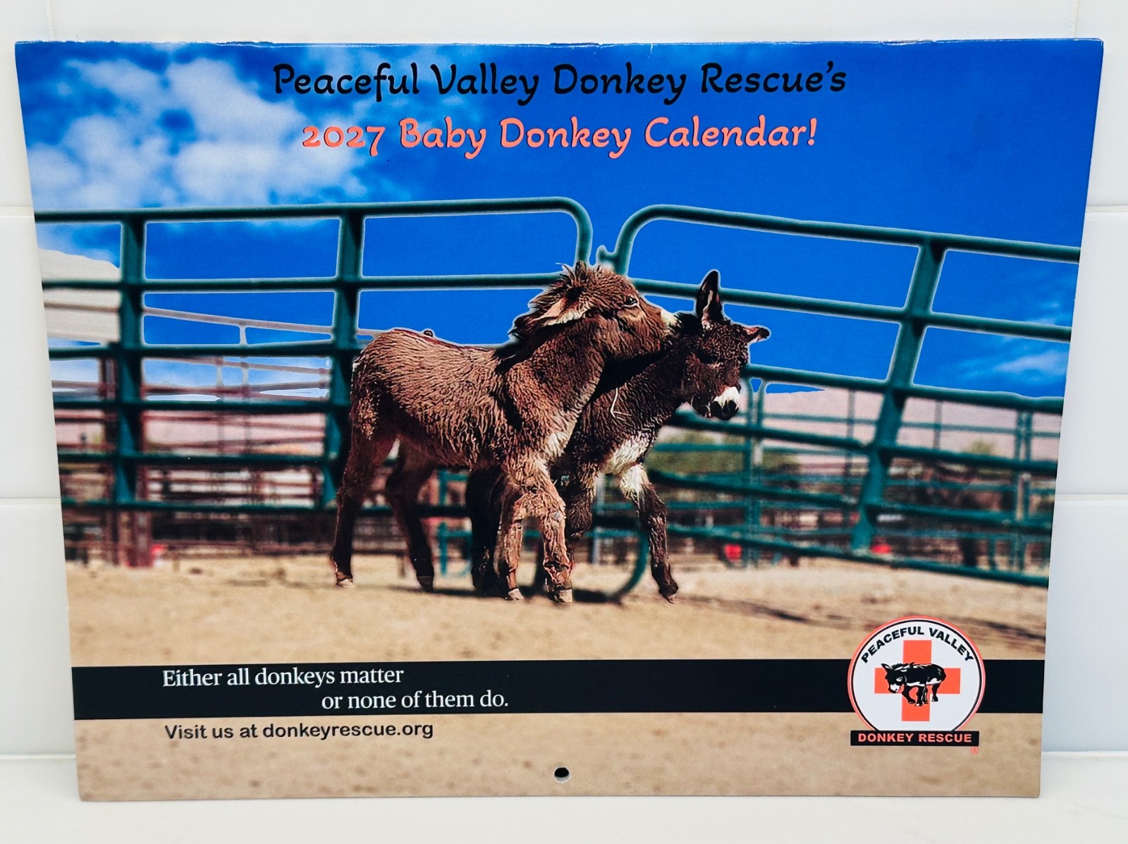 2027 Wall Calendar Peaceful Valley Donkey Rescue Baby Donkey. New Read
