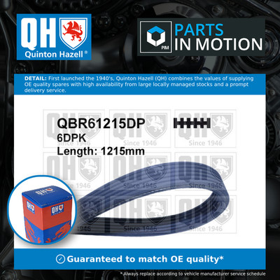 6 Rib Multi V Drive Belt fits VW SHARAN 7M 1.9D 00 to 10 QH 038903137S Quality
