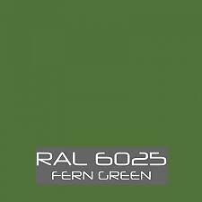 RAL 6025 Fern Green tinned Paint - Picture 1 of 1