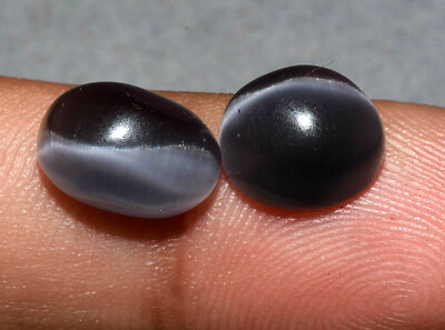 Pair Of 9.00 Ct Lab-Grown Black Cat's Eye Rarest Quartz Gems