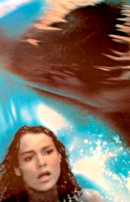    𒅌｡*  ｡DEEP BLUE SEA  ྀི DVD   Super spannender Horrorthriller      