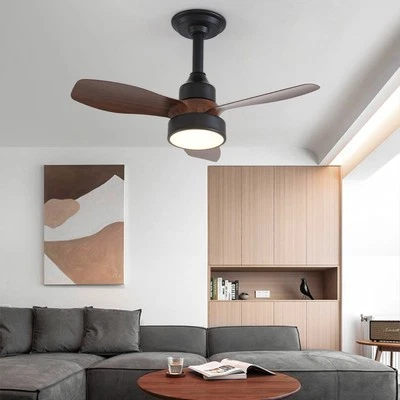 JDONG 62CM Deckenventilator mit Beleuchtung 3 Farbtemper und 3 Geschwindigkeiten Timer