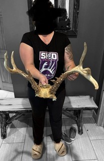 Freaky Unusual Whitetail Deer Antlers Rack LT20