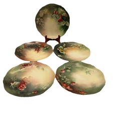 Lot Of 5 Limoges France Hand Painted 8  Decorative Plates Scalloped Edge EUC