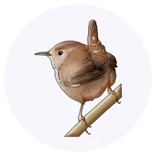 24 x 'Wren' Stickers - for Crafts, Scrapbooking and Labelling (SK00042934)