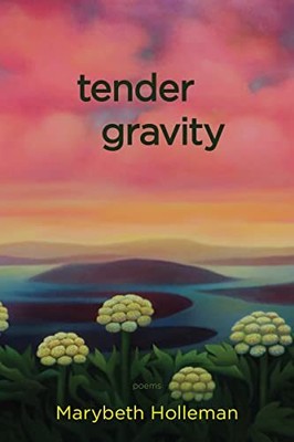 Marybeth Holleman - tender gravity - New Paperback - S9000z