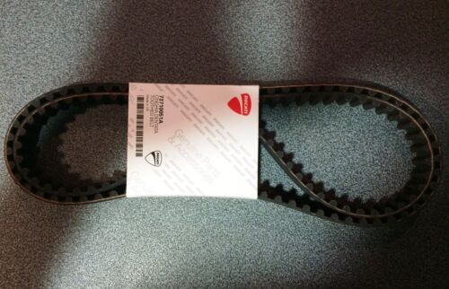 Ducati Monster S2 R Timing Belt - 73710051A - ducati Toothed Belt - Picture 1 of 1