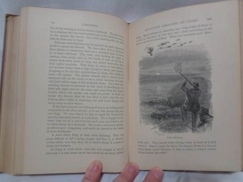 1892 Victorian Sport Shooting Field Moor & Marsh Walsingham Gallwey 2 vol Set - Picture 22 of 24