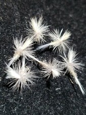 FLY FISHING FLIES PARACHUTE CALLIBAETIS # 20 FRONTIER FLY COMPANY