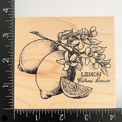 PSX Lemon Citrus Limon Fruit Tree Limb Branch K2290 Wood Mounted Rubber Stamp