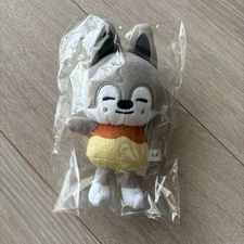 Stray Kids MANIAC ENCORE SKZOO BAG CHARM Plush bang chan wolf chan Mascot