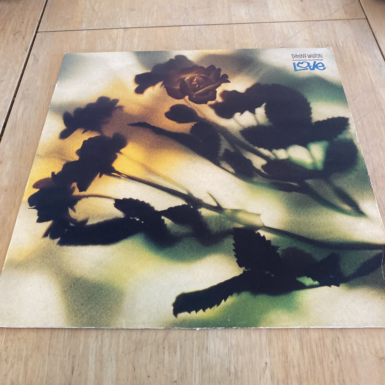 Danny Wilson Second Summer of Love 12"" vinyl UK Virgin 1989 + Rare 10” VG+/VG+