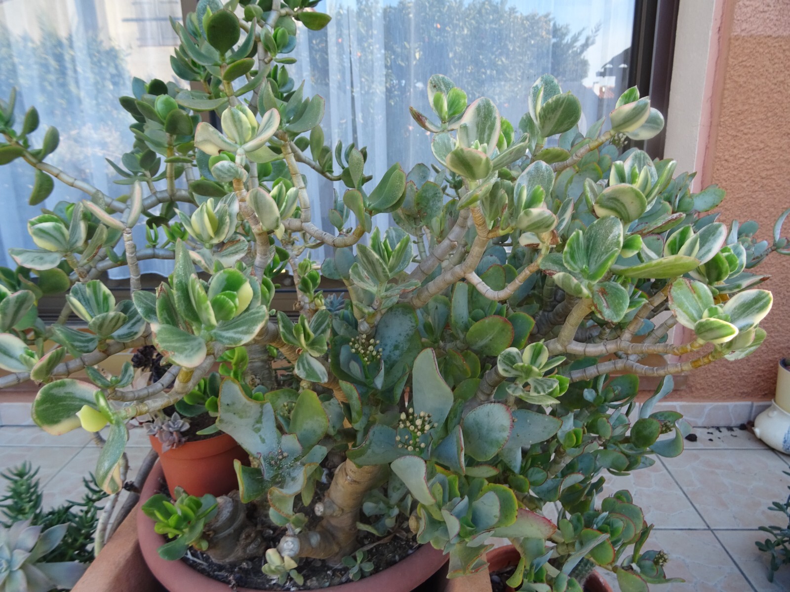 Picture 14 of 24