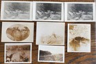 8 Photos, Outdoor Recreation Scenes, Vintage, approx. early 1900s (Lot 11) — photo 1