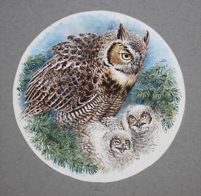 Raymond Watson British Illustrator 4 Original Signed Franklin Mint Wc Owl Plates Ebay