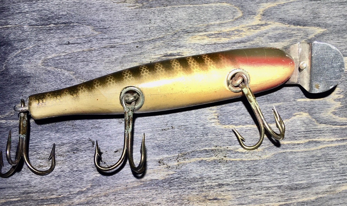 CREEK CHUB 4½ CREEK CHUB 4½