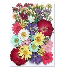 40 Pcs Dried Presserved Flowers Leaves for Resin Scrapbooking DIY Art Crafts