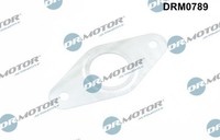 Dr.Motor Automotive Dichtung, Leitung Agr-Ventil DRM0789 FüR CitroËN