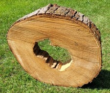 🌳 Baumscheibe von der "Linde" -- ø 47 x 43 cm - Stärke:  6,5 - 9,0 cm - 109