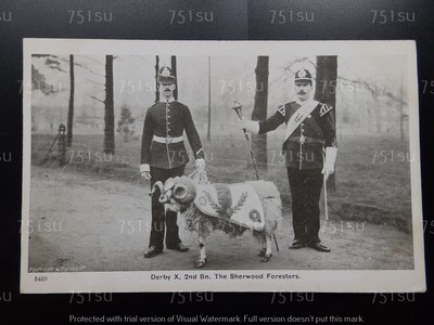 Derby X, 2nd Bn. The Sherwood Foresters. Gale & Polden
