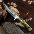 8.9" inch Handmade Damascus Hunting Knife Full Tang Wood Handle Leather Sheath — photo 5