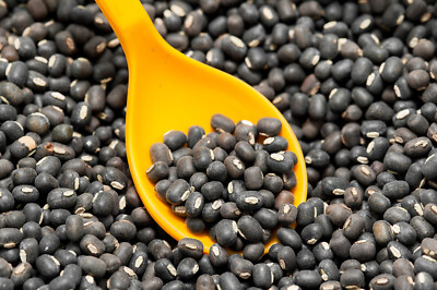 Black Matpe Beans (6 lb) / INDIAN CUISINE / RARE/ FLORIDA / Sprouting seeds