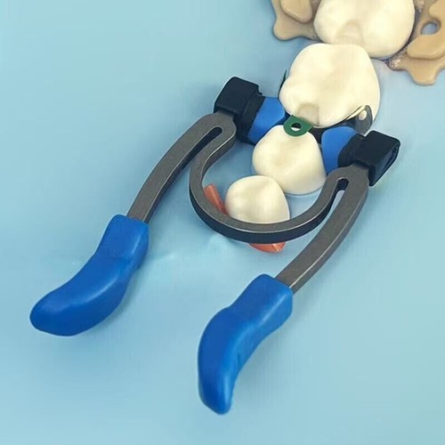 Dental Matrix Band Ring Sectional Matrice Clamp Ring R5 2.0/R8 1.0 Fit Garrison - Picture 9 of 25